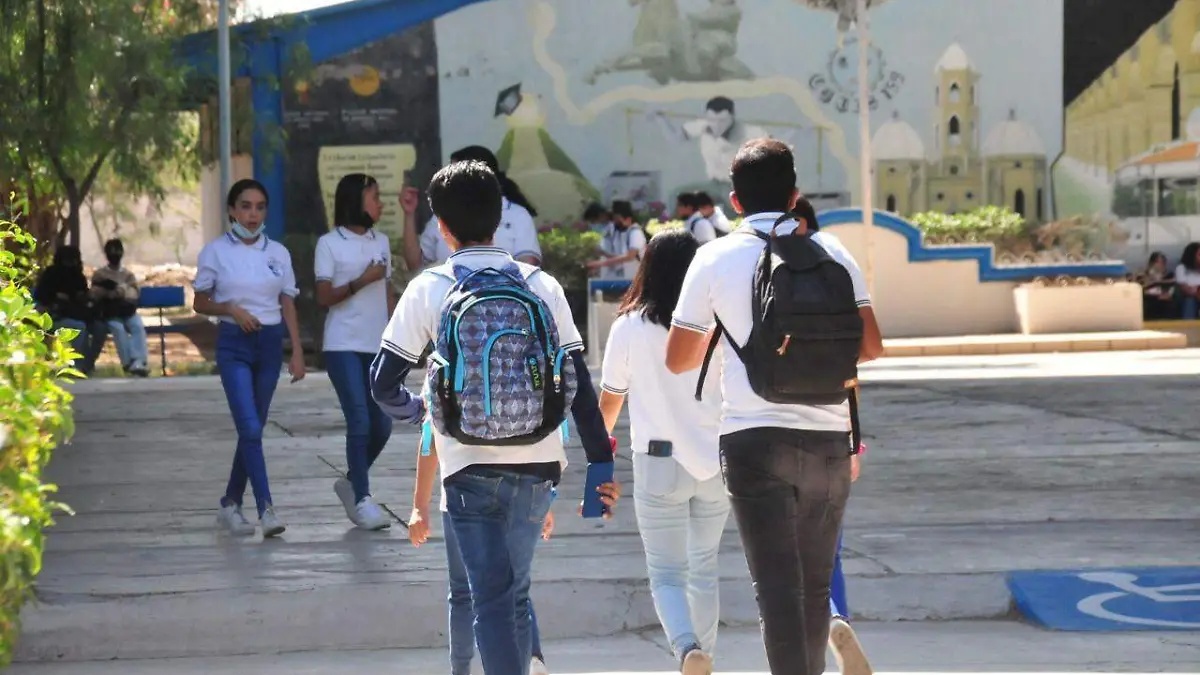 WhatsApp Image 2022-11-11 at 09.32.43