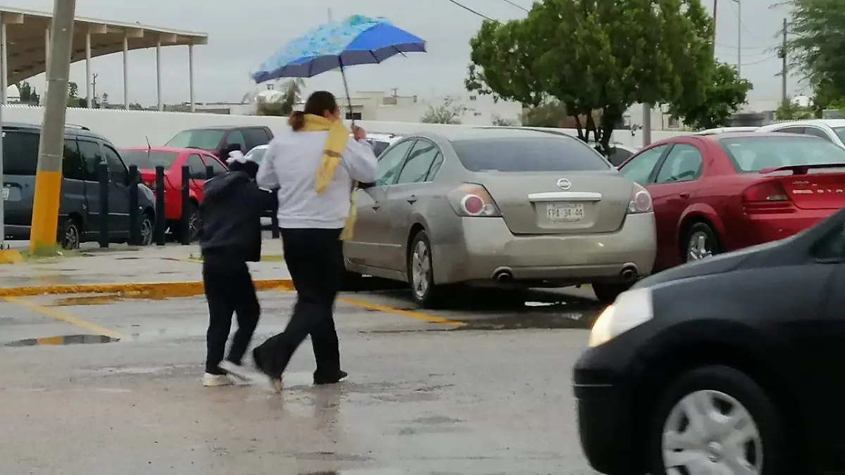 04 LA MITAD NO ACUDE A CLASES1