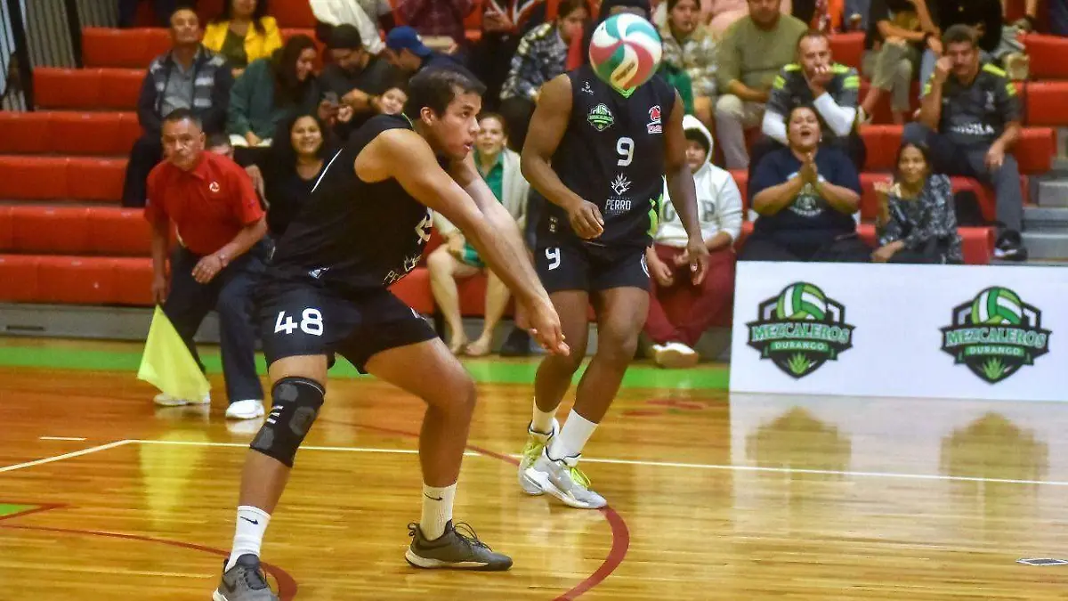 WhatsApp Image 2022-11-16 at 09.12.10 (1)