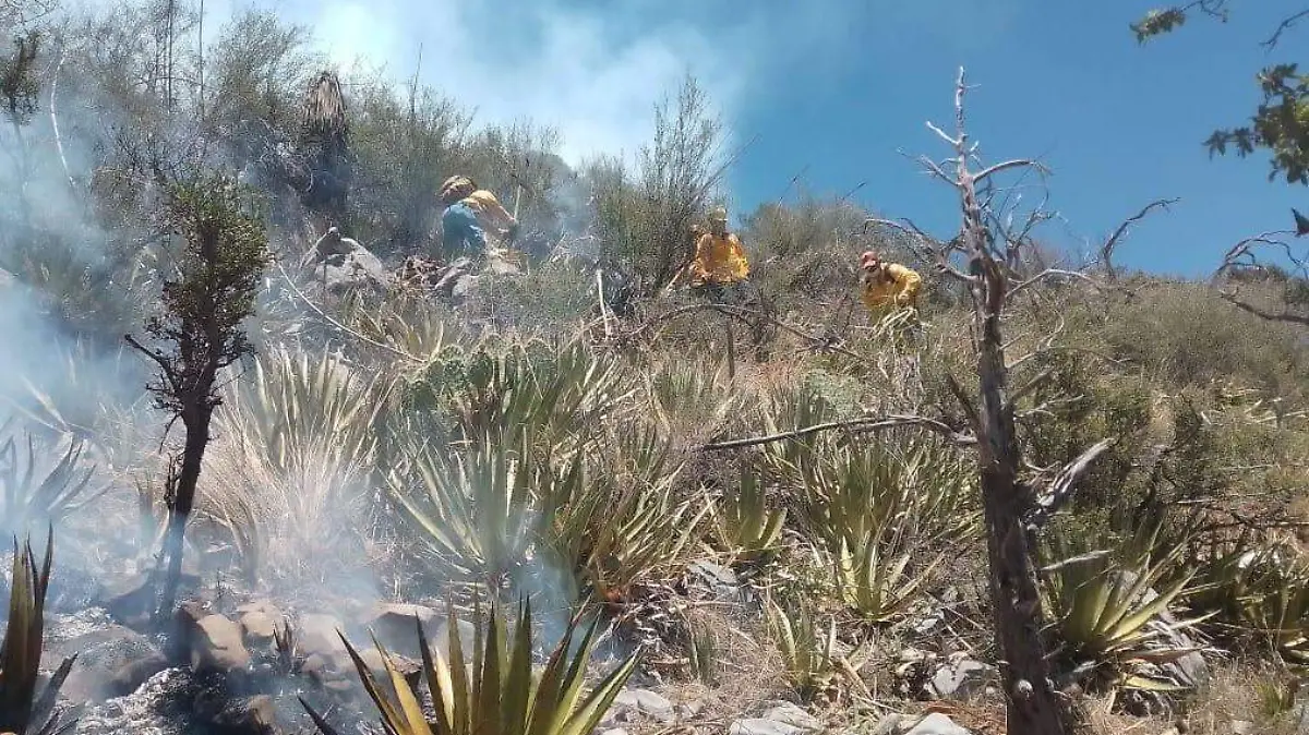 incendios