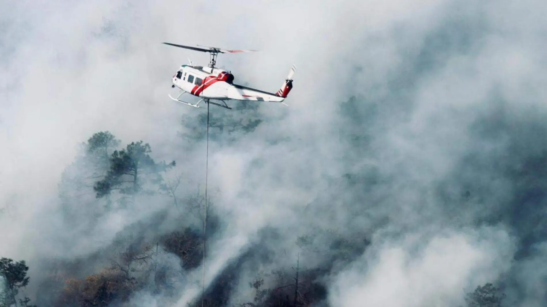 incendios-forestales