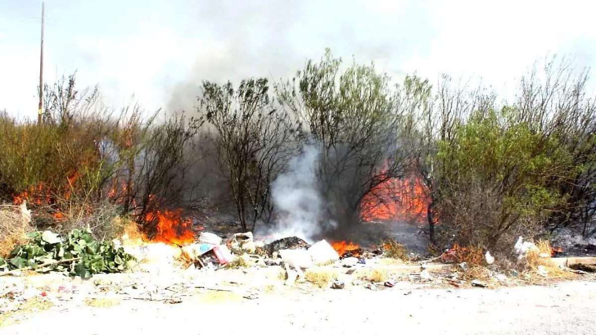 WhatsApp Image 2023-05-23 at 10.20.27