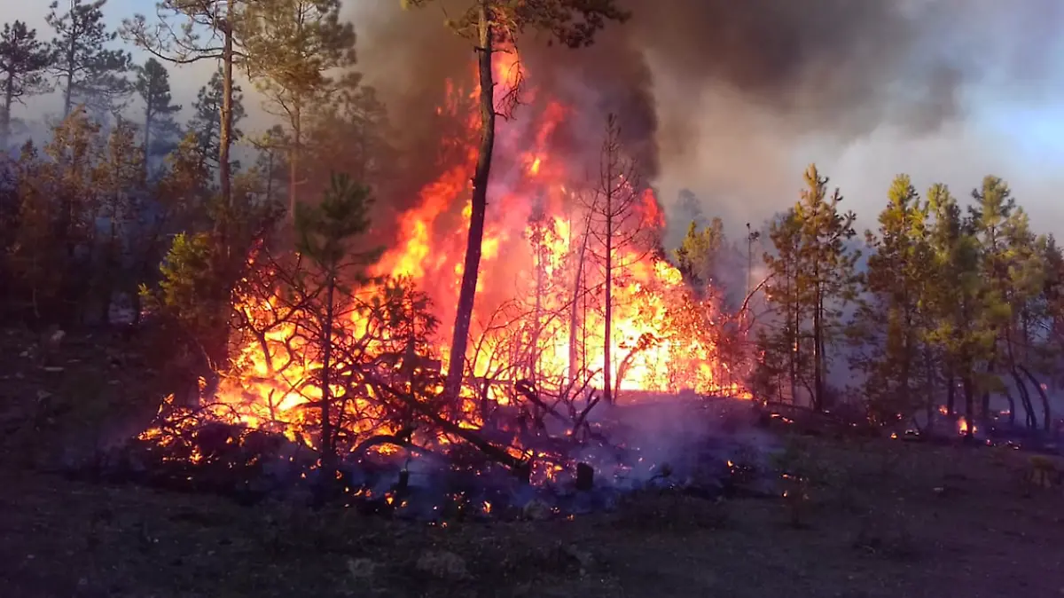 1 Incendios provocados - GUERRERO - CORTESÍA CARLOS JÁQUEZ