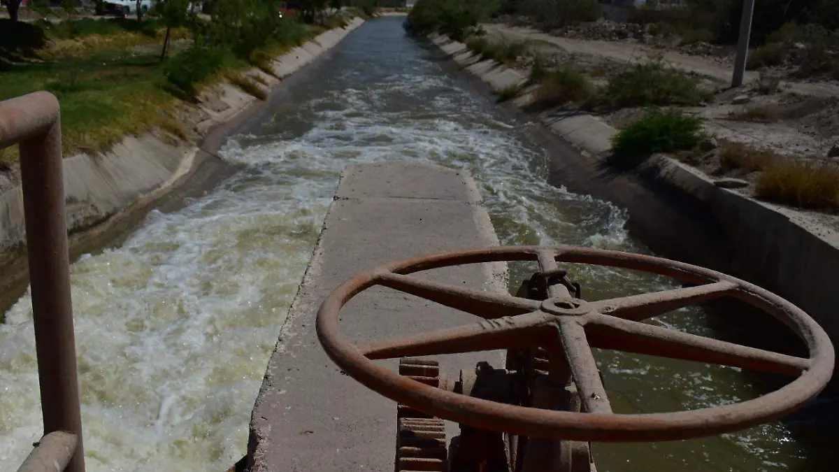 WhatsApp Image 2023-05-12 at 16.18.49