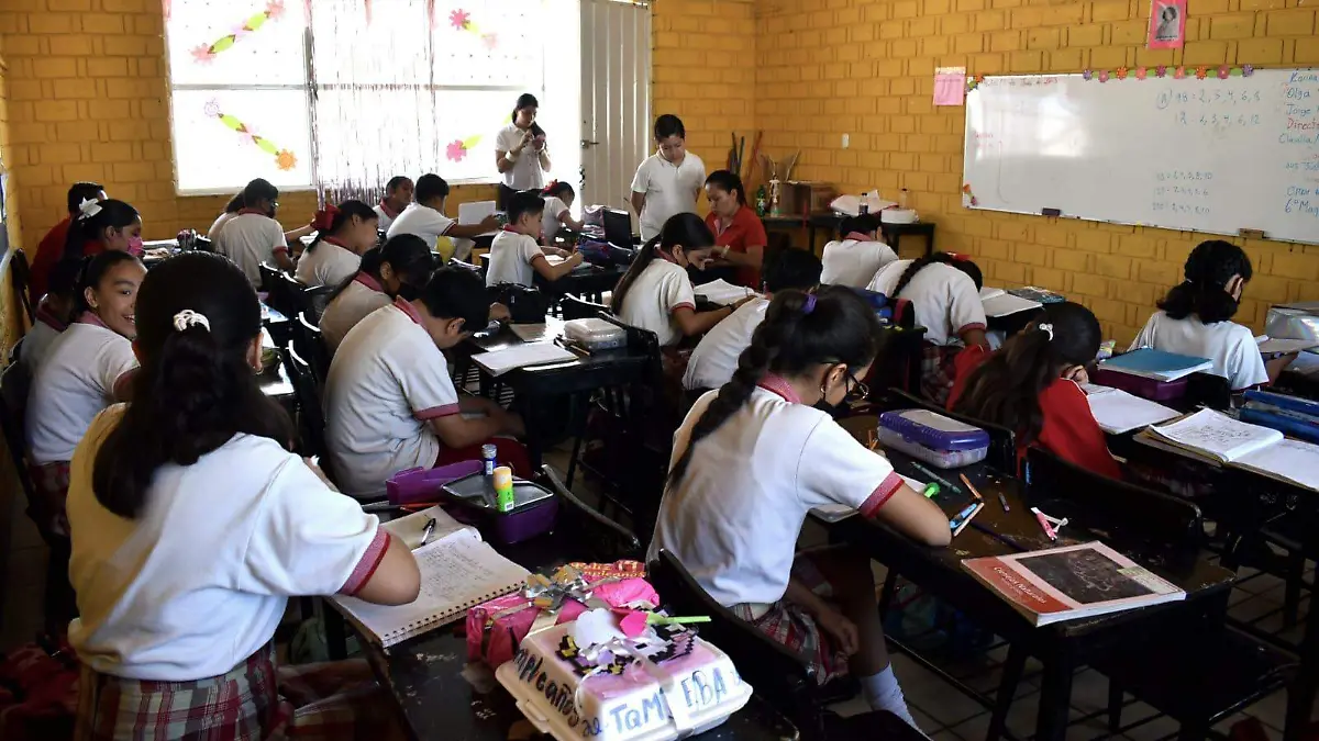 WhatsApp Image 2023-06-23 at 11.04.44