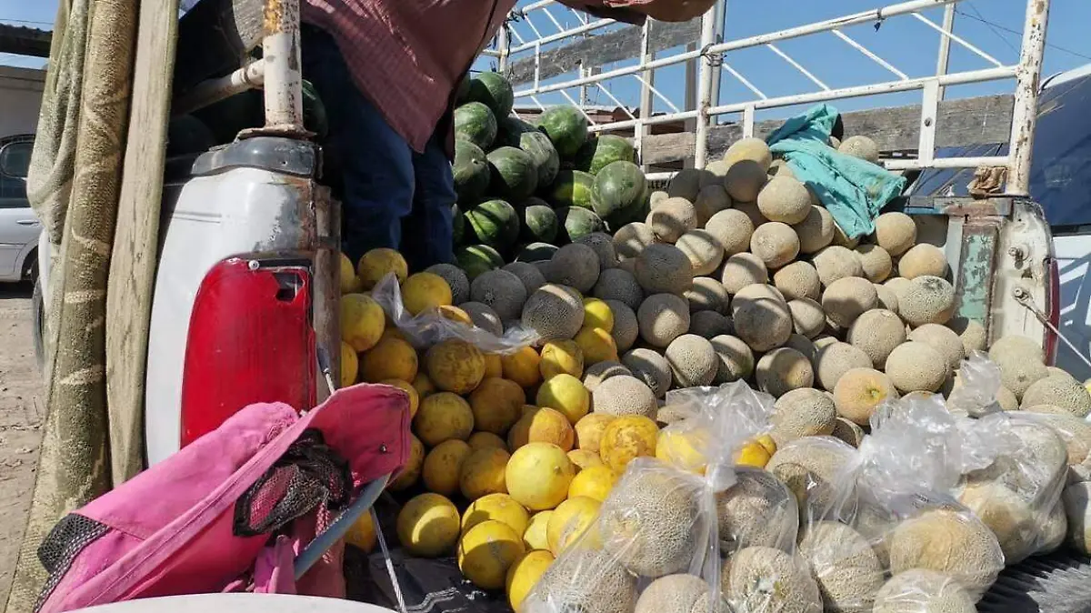 melón-y-sandía-Las-Meloneras-Matamoros