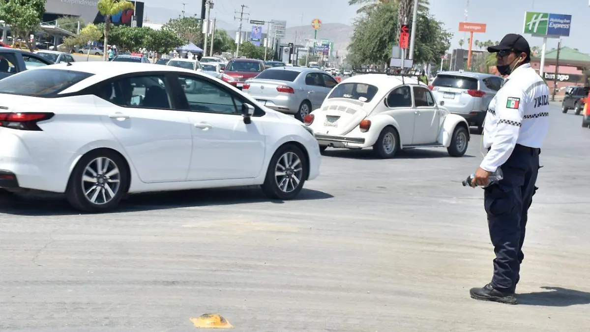 WhatsApp Image 2022-07-25 at 2.16.10 PM