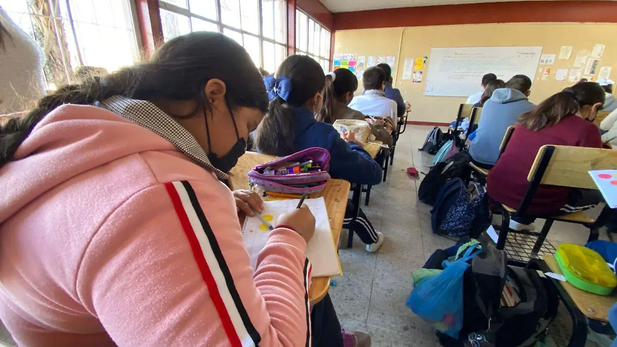 WhatsApp Image 2022-12-03 at 13.51.30