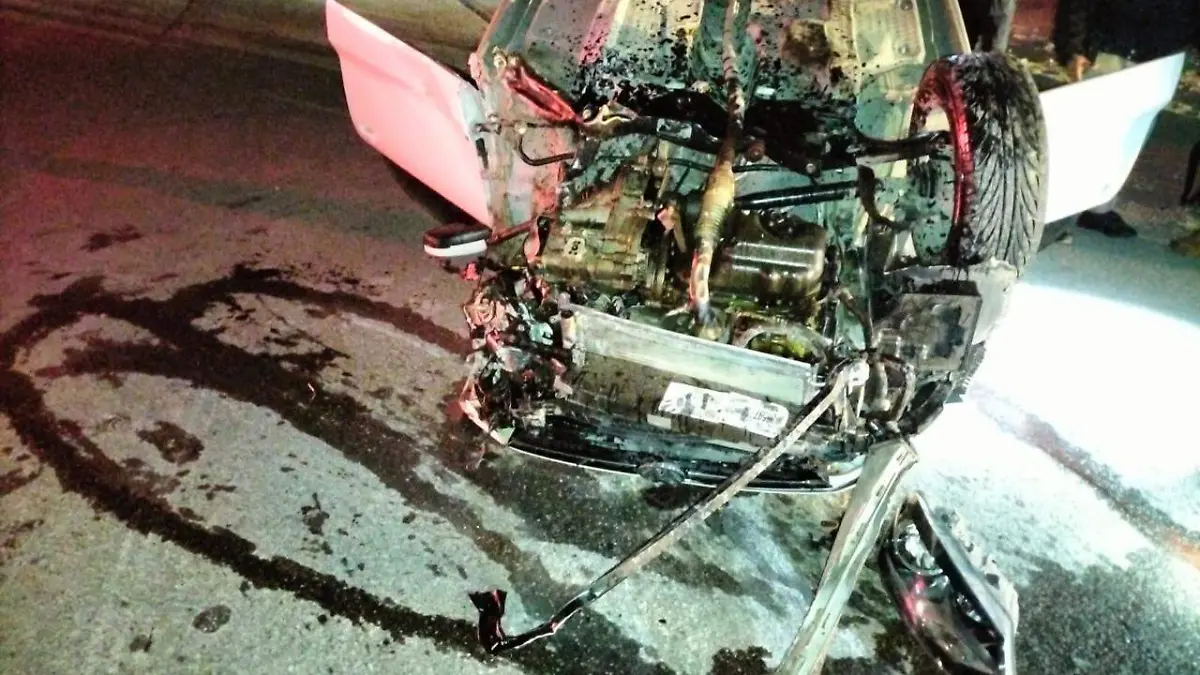 WhatsApp Image 2022-12-21 at 09.03.05