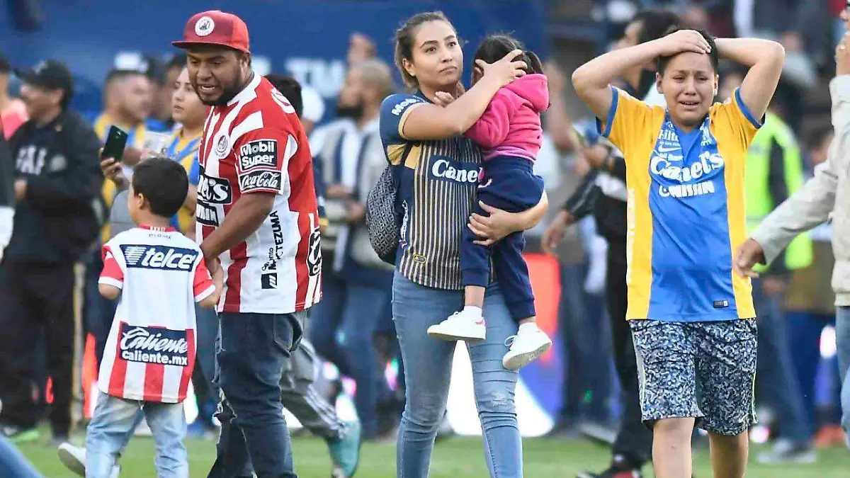 Gallos 1