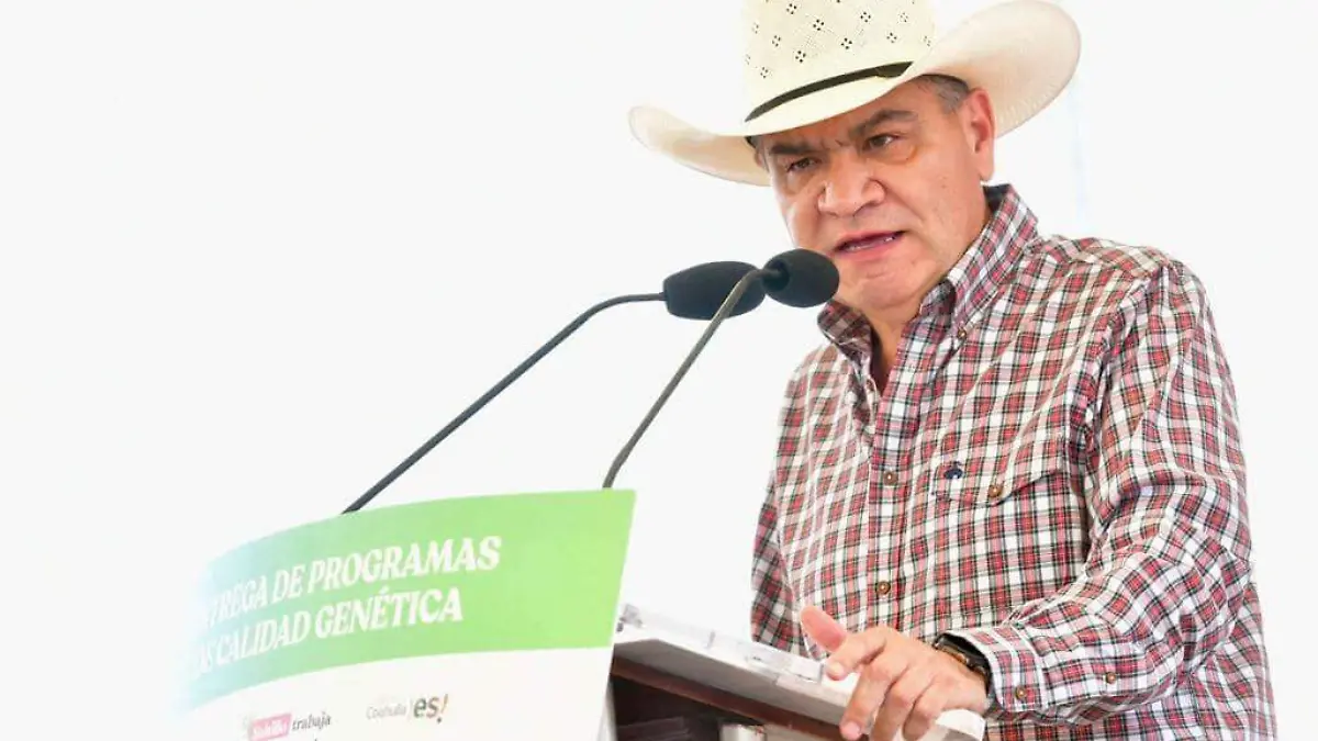 Zona B1 Acreditación