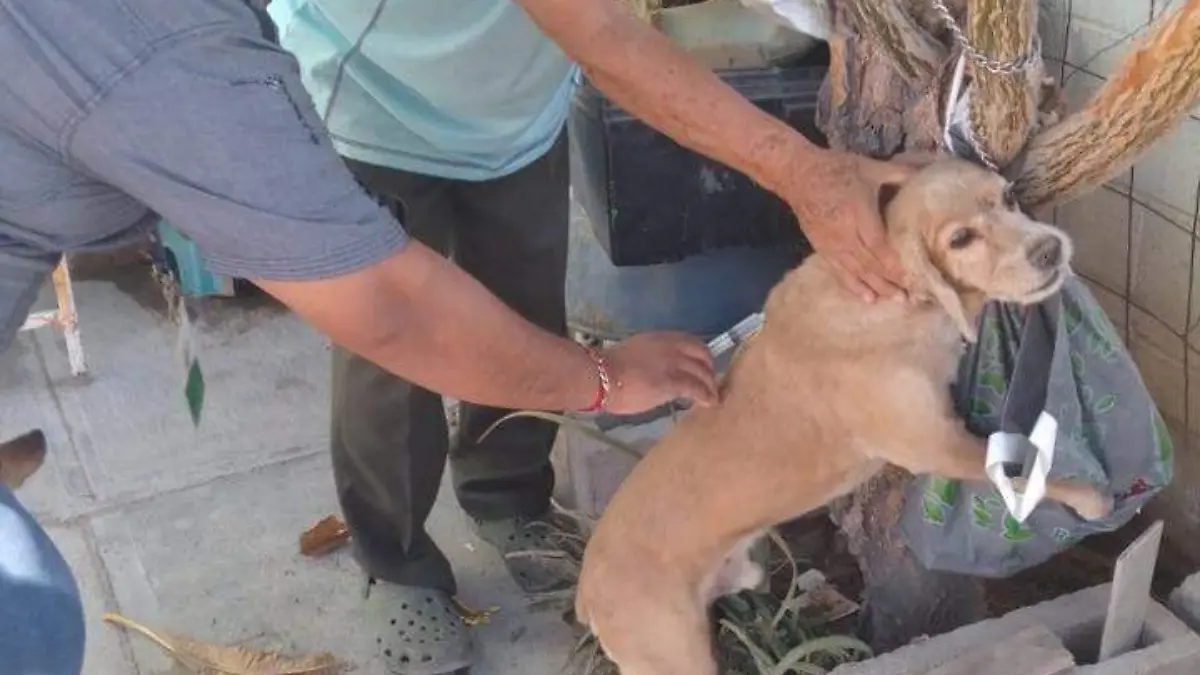 WhatsApp Image 2022-07-28 at 5.51.43 PM