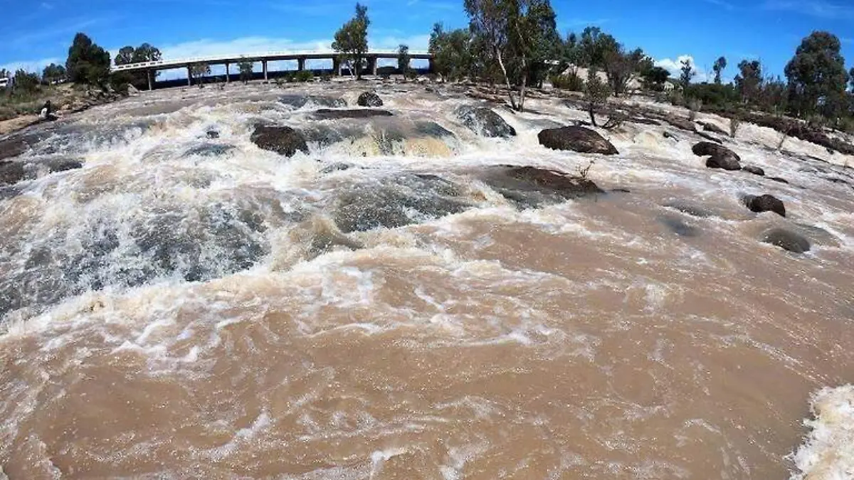 WhatsApp Image 2022-09-30 at 12.00.37