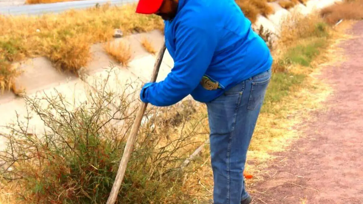 WhatsApp Image 2023-01-28 at 12.36.53