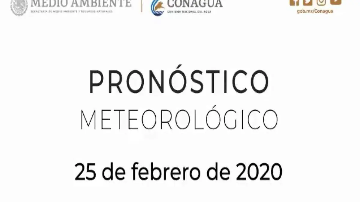 Sin título-1