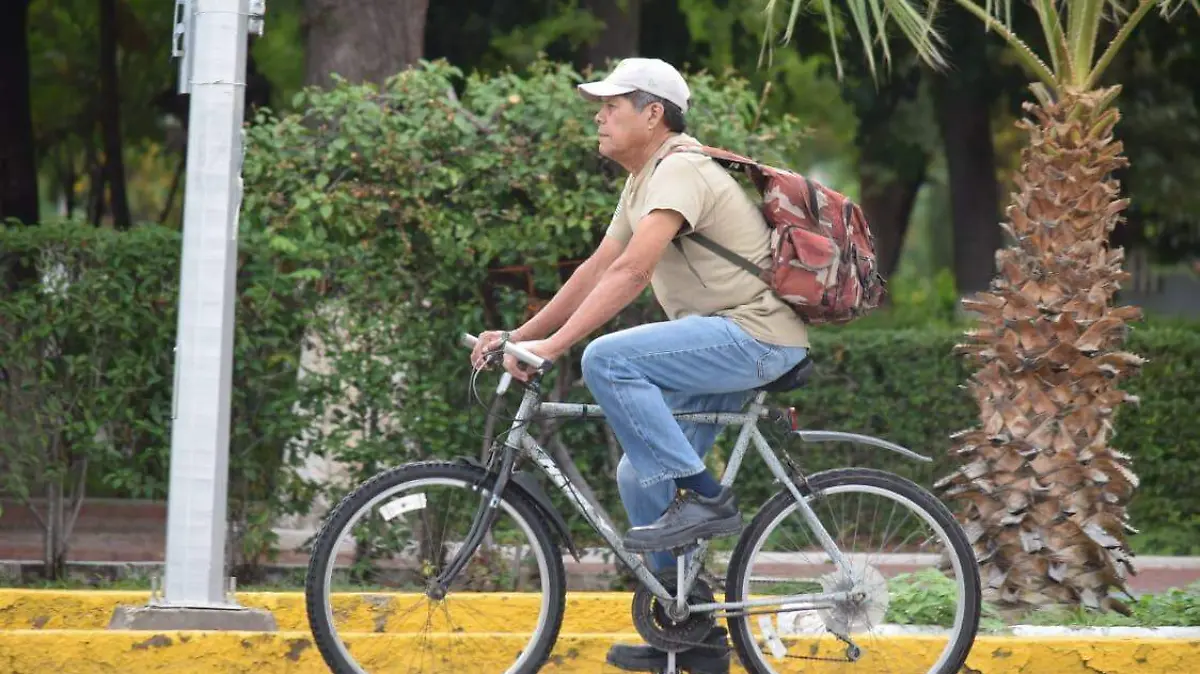 Covid Durango Reporte