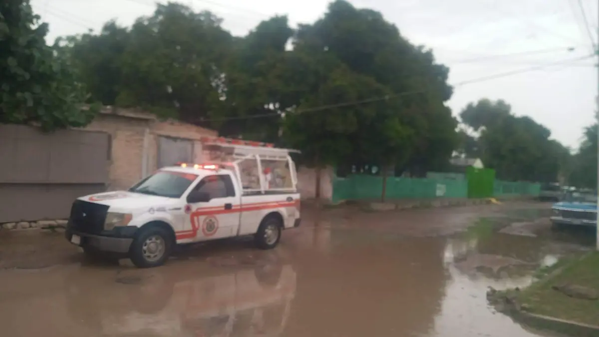 WhatsApp Image 2022-10-04 at 13.49.34