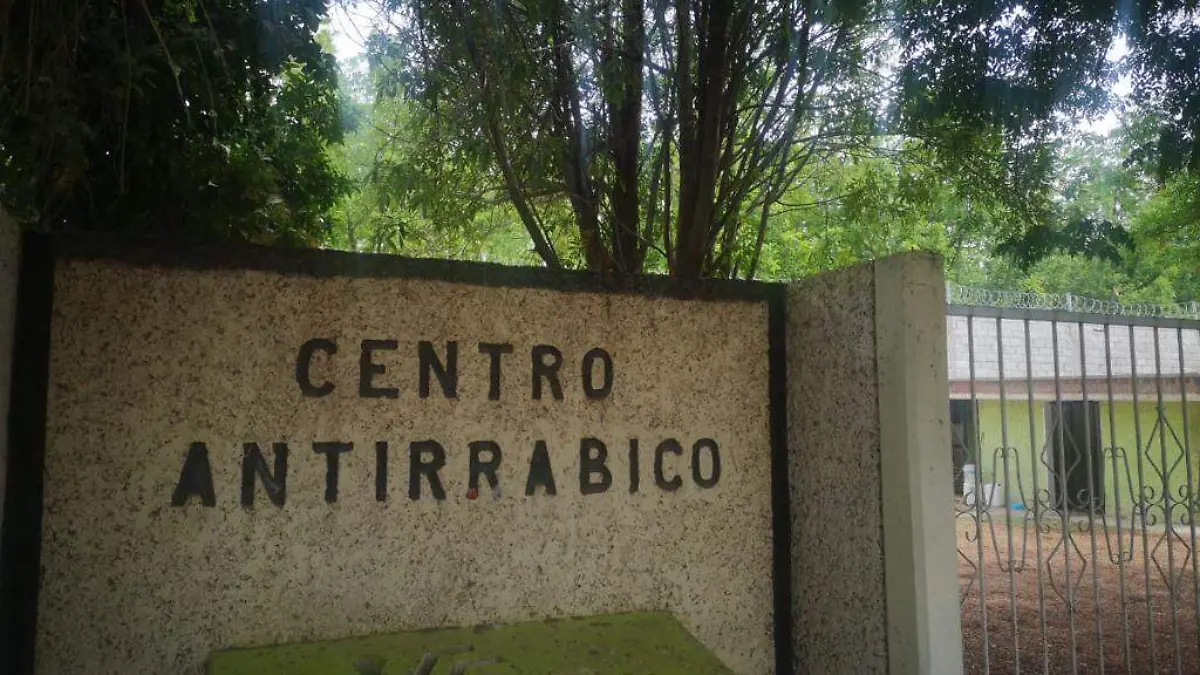 MARCELA 3 Centro Antirrábico Continúa Aplicando Vacuna y desparasitación