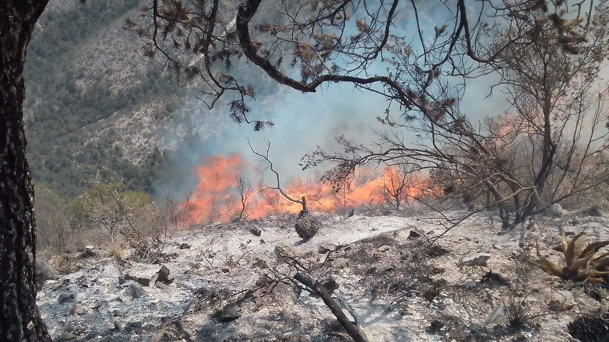 Incendio Ramos Arizpe
