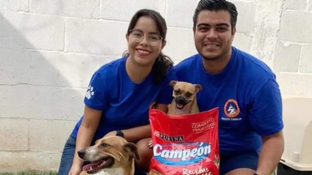 37 SOLIS4 Albergue Mascotas de Familia AC piden donación de alimento y otros apoyos