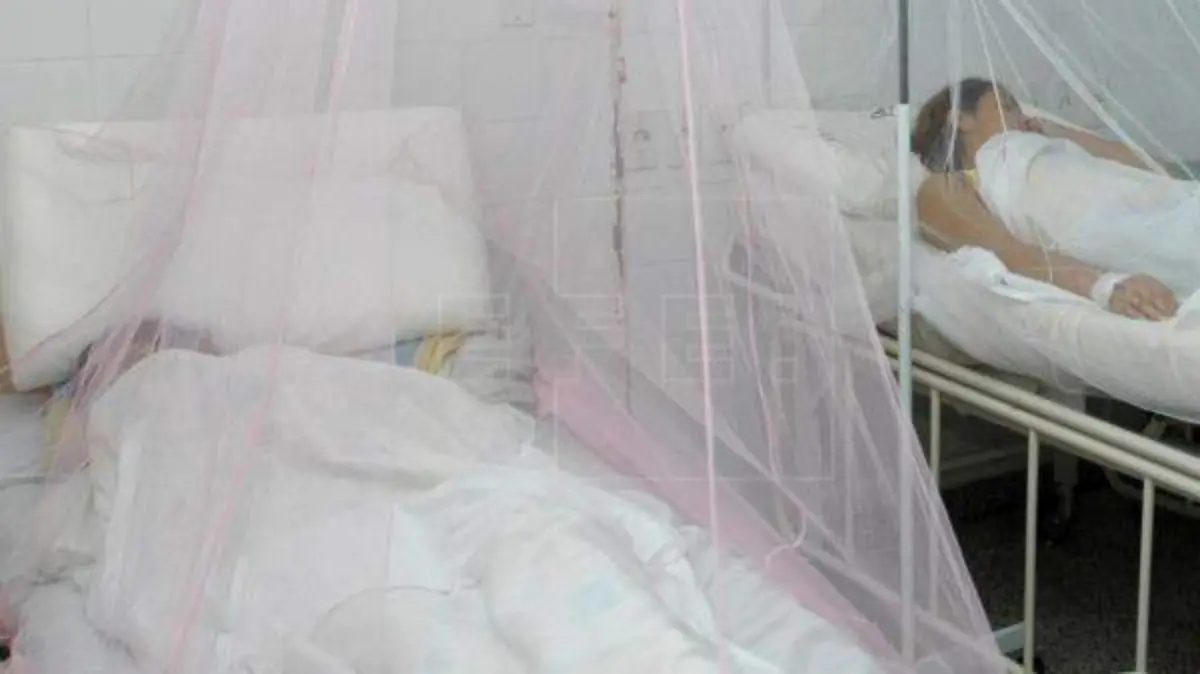 enfermos dengue