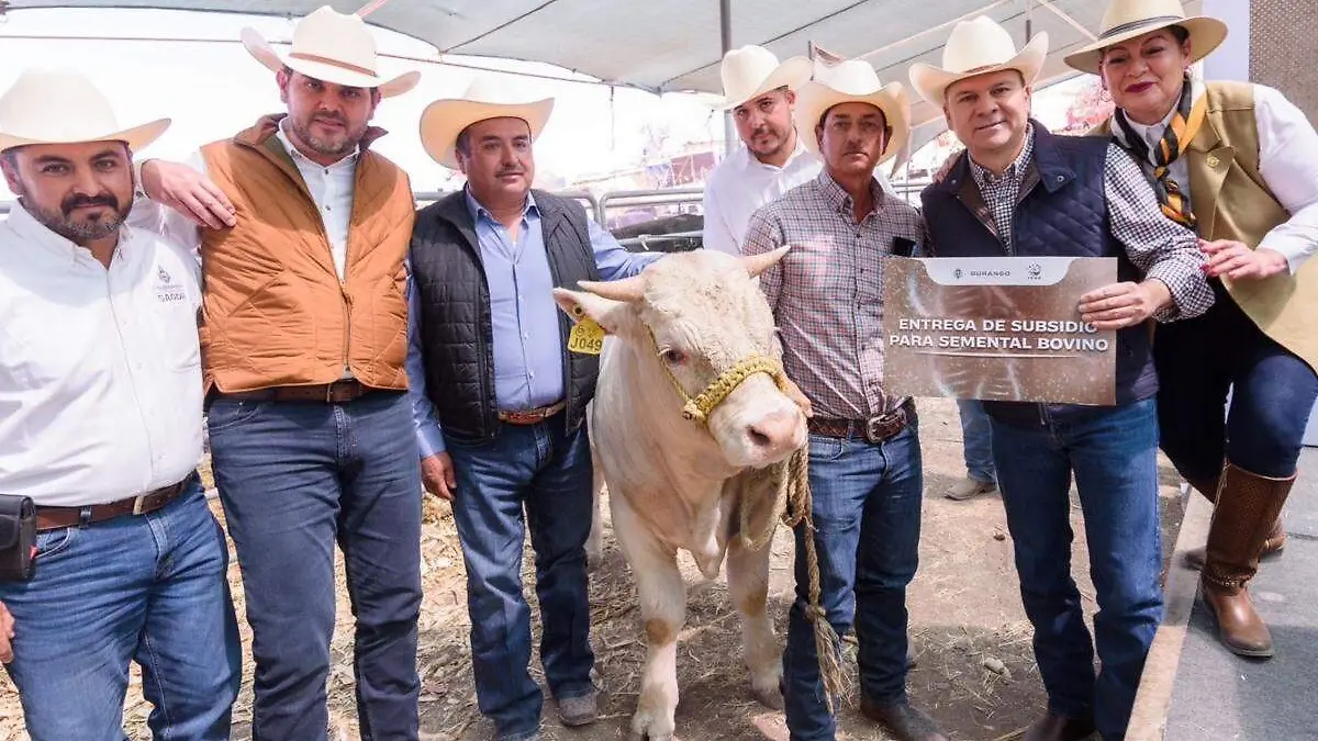 Esteban-ganadería