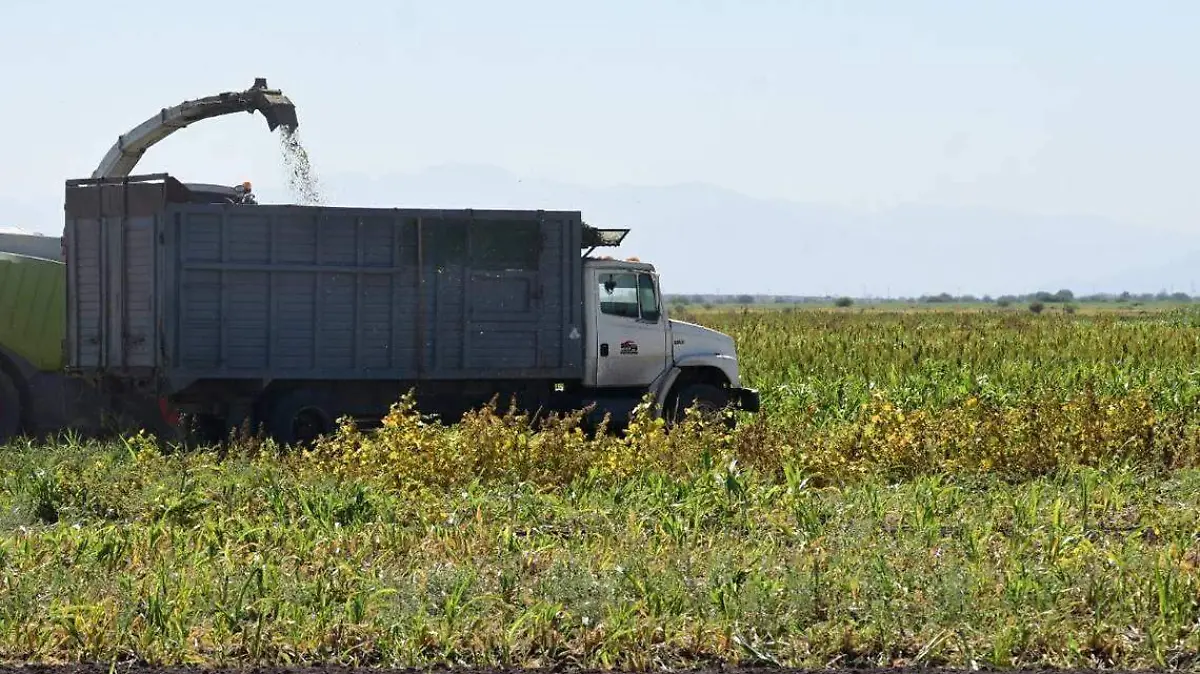 inflación-pega-a-sector-agropecuario