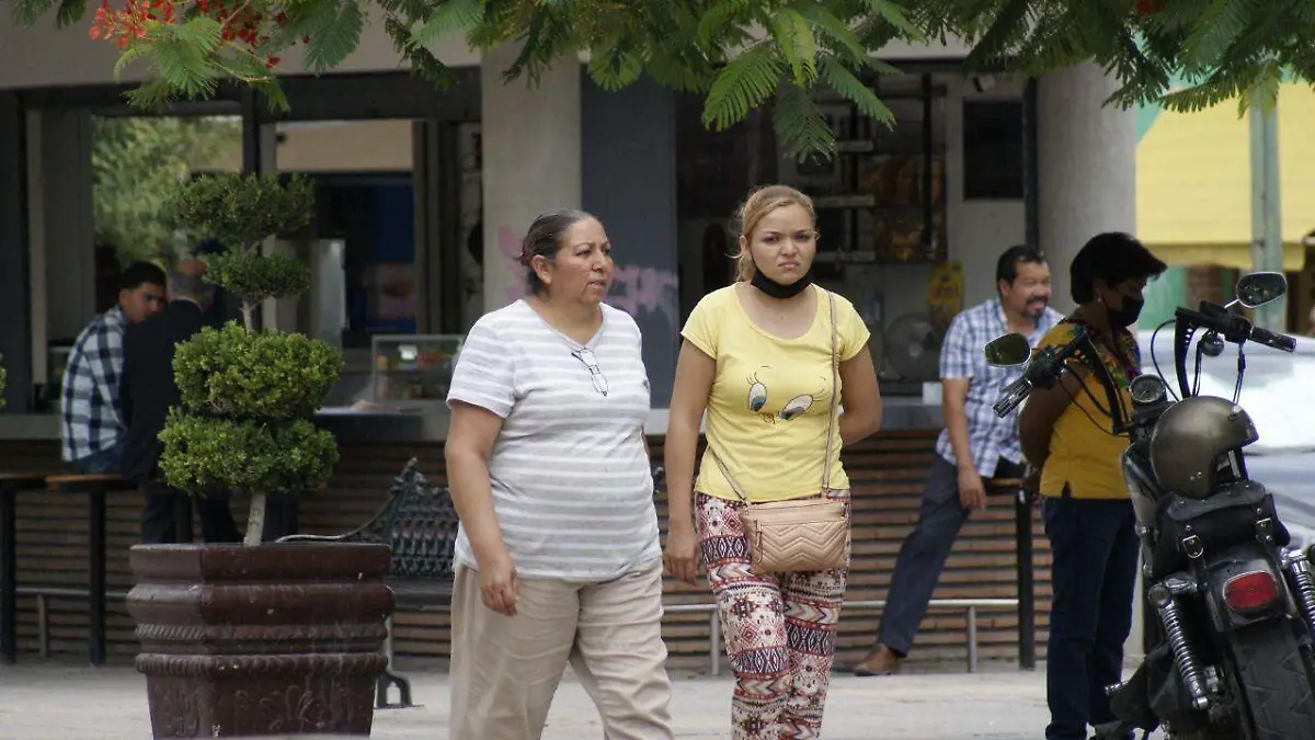 WhatsApp Image 2022-07-13 at 9.14.53 AM