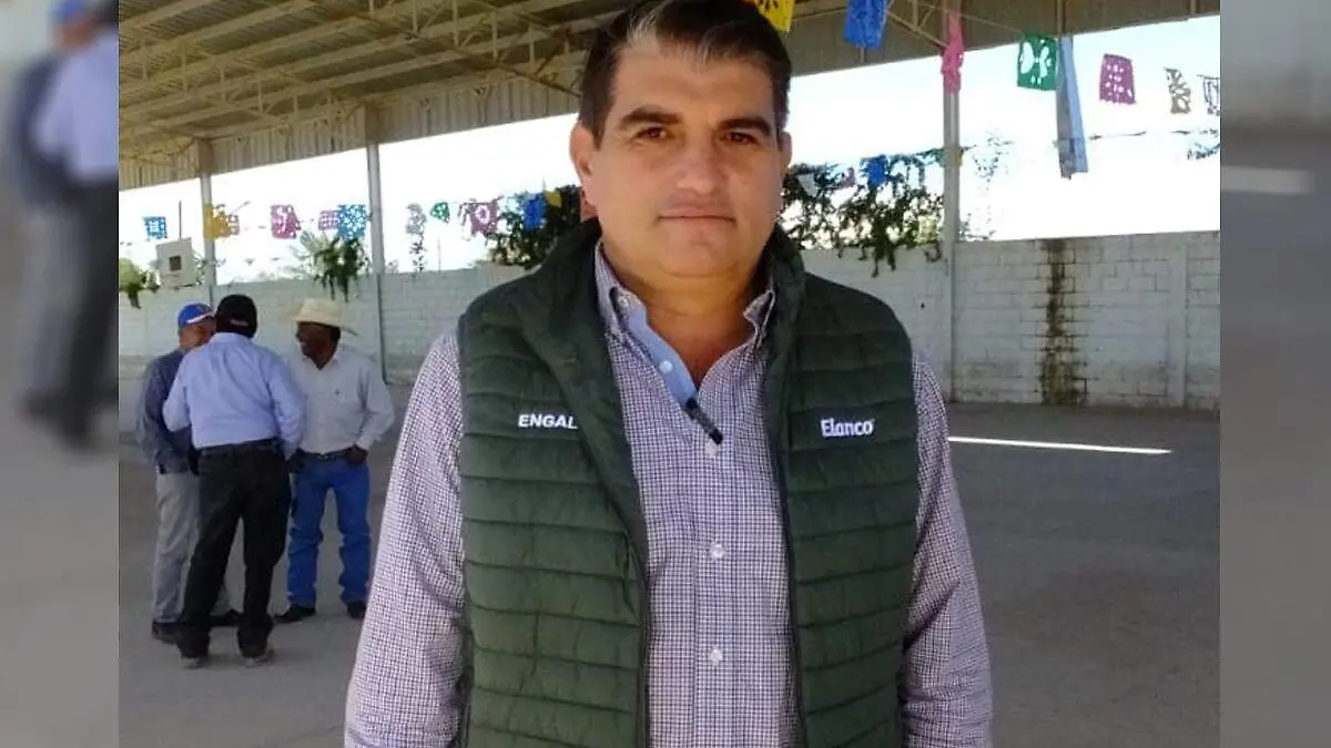 36 NECESIDADES DEL CAMPO