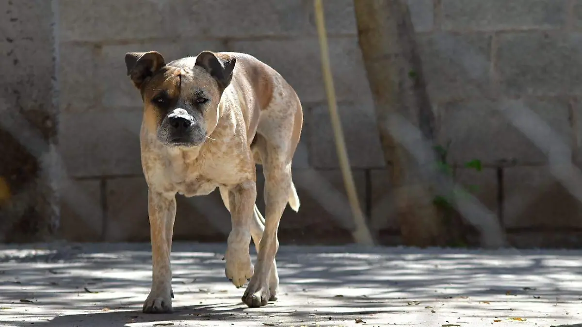 WhatsApp Image 2022-07-18 at 6.43.02 PM