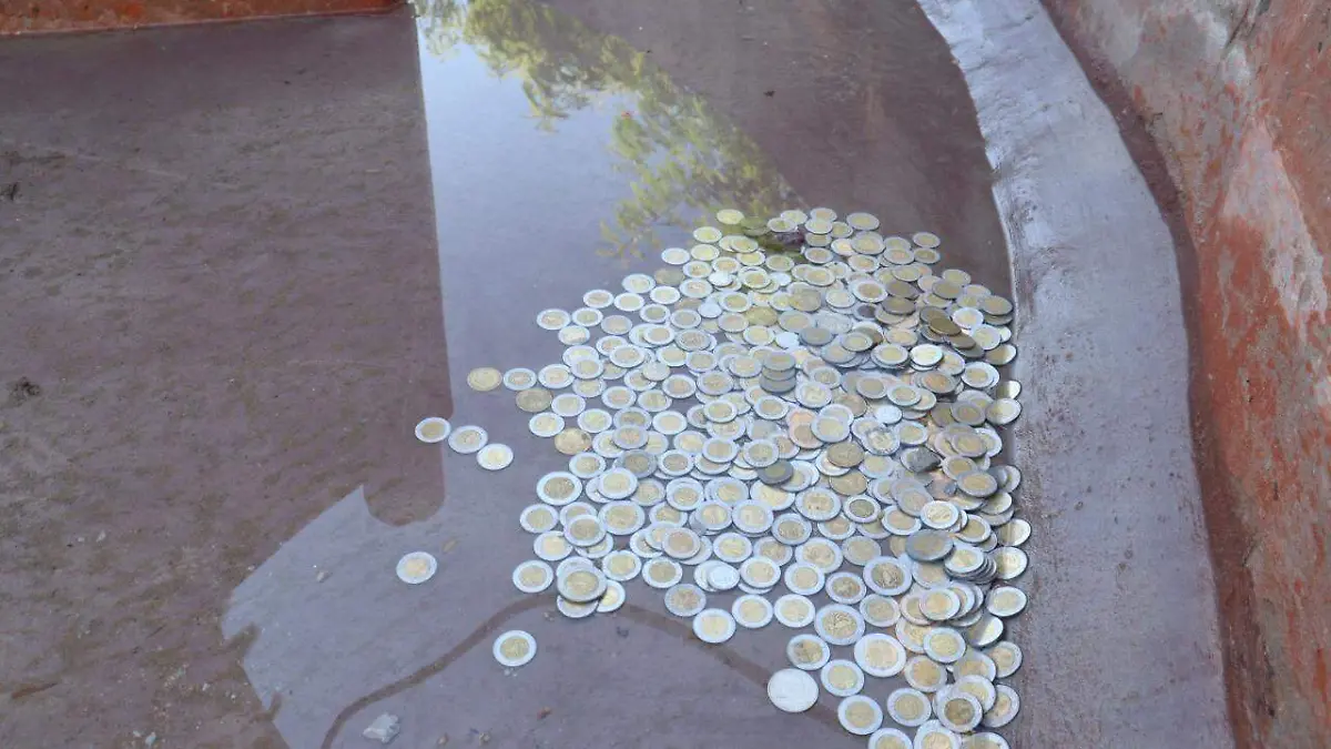 WhatsApp Image 2021-11-25 at 17.15.19