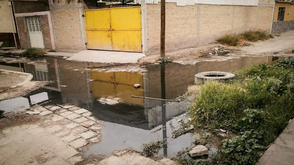 WhatsApp Image 2022-01-20 at 4.57.21 PM