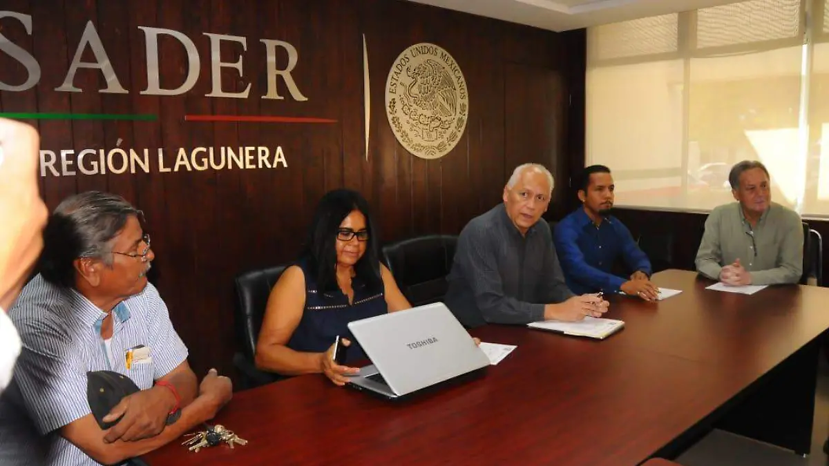 17 LA INDUSTRIA APICOLA MUY AFECTADA EN LA LAGUNA1