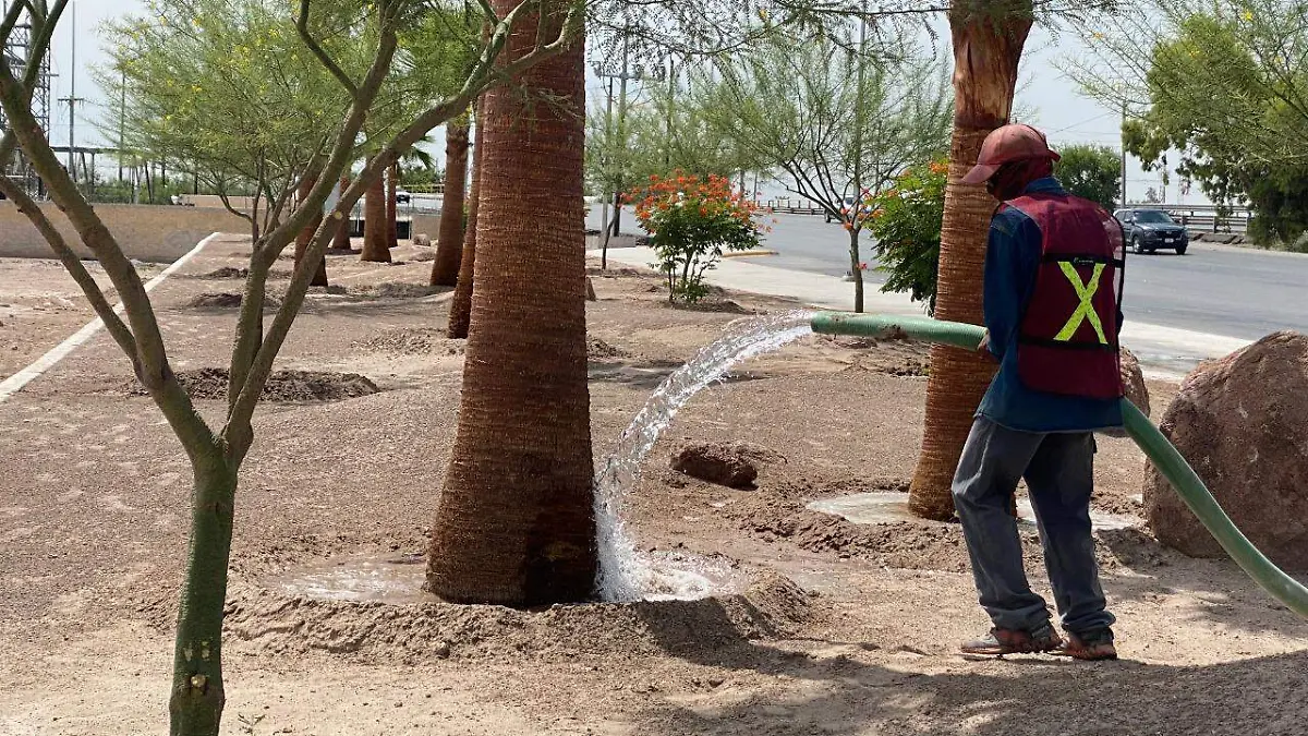 WhatsApp Image 2022-08-06 at 9.54.50 AM