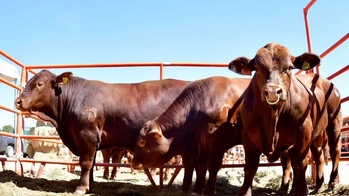 WhatsApp Image 2022-07-20 at 2.14.14 PM