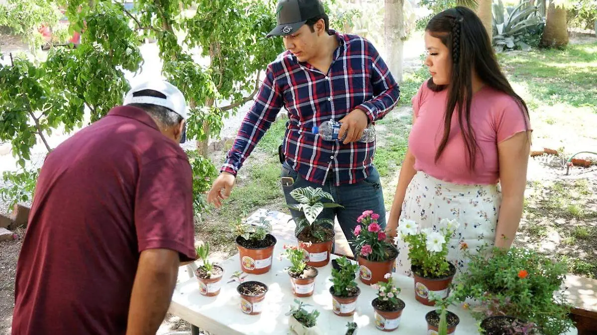 Mercadito-Horticultura