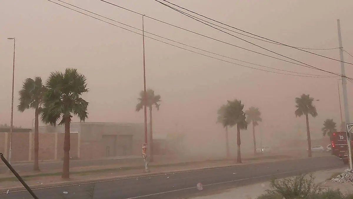 tolvaneras torreón