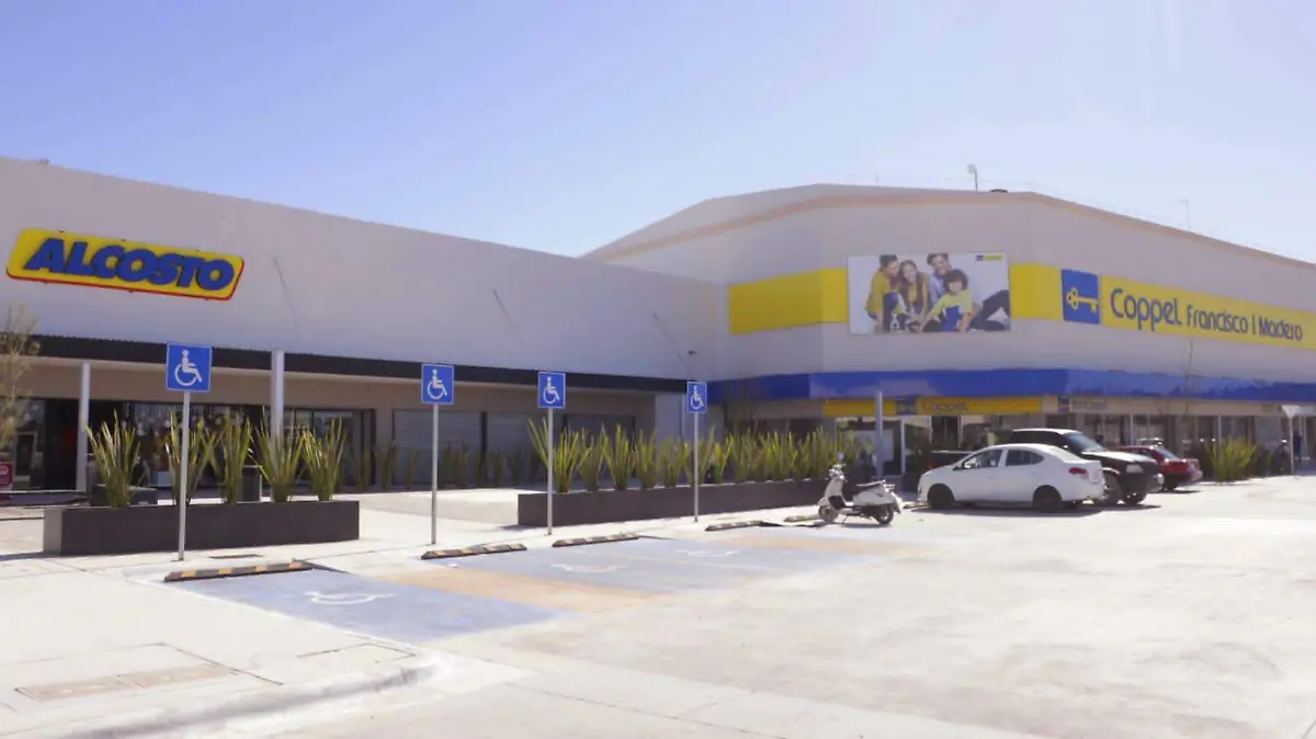 WhatsApp Image 2022-11-10 at 09.00.22 (1)