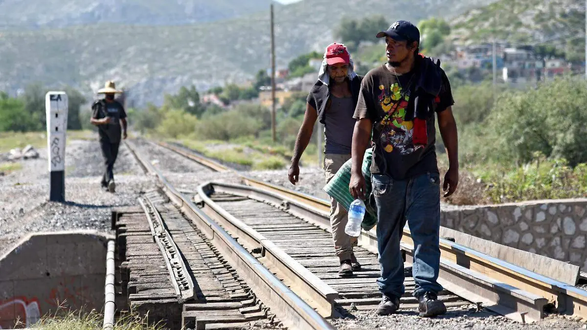 WhatsApp Image 2023-05-15 at 15.49.03