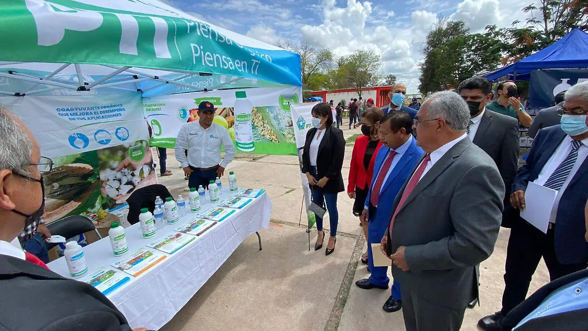 WhatsApp Image 2022-09-07 at 13.02.18