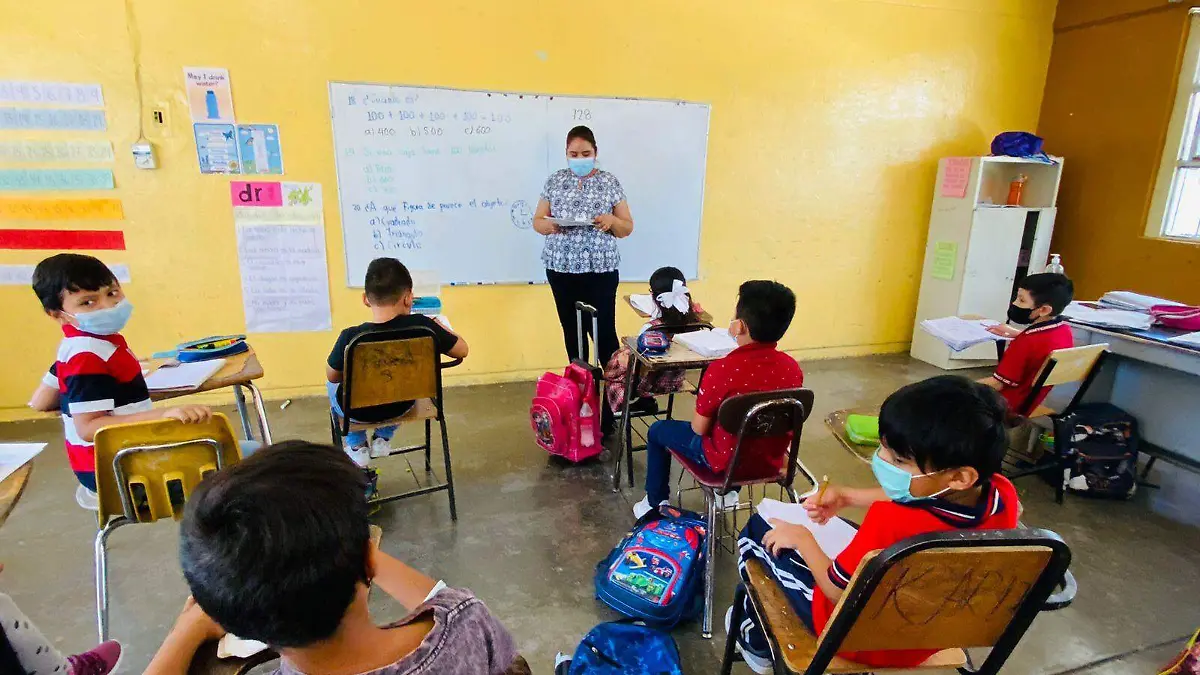 WhatsApp Image 2022-06-24 at 11.06.01 AM