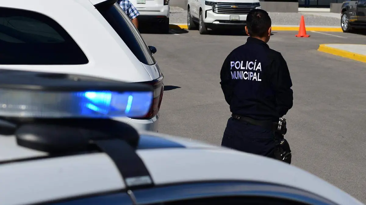 WhatsApp Image 2022-10-26 at 15.01.24