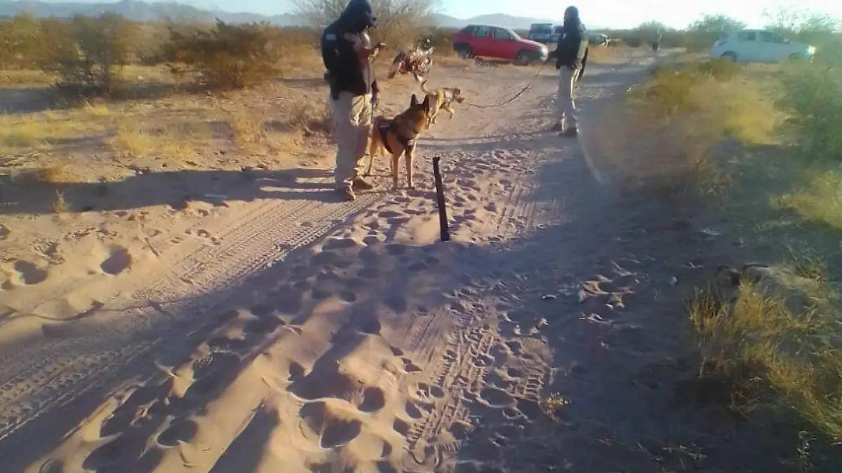 WhatsApp Image 2023-01-11 at 13.13.02