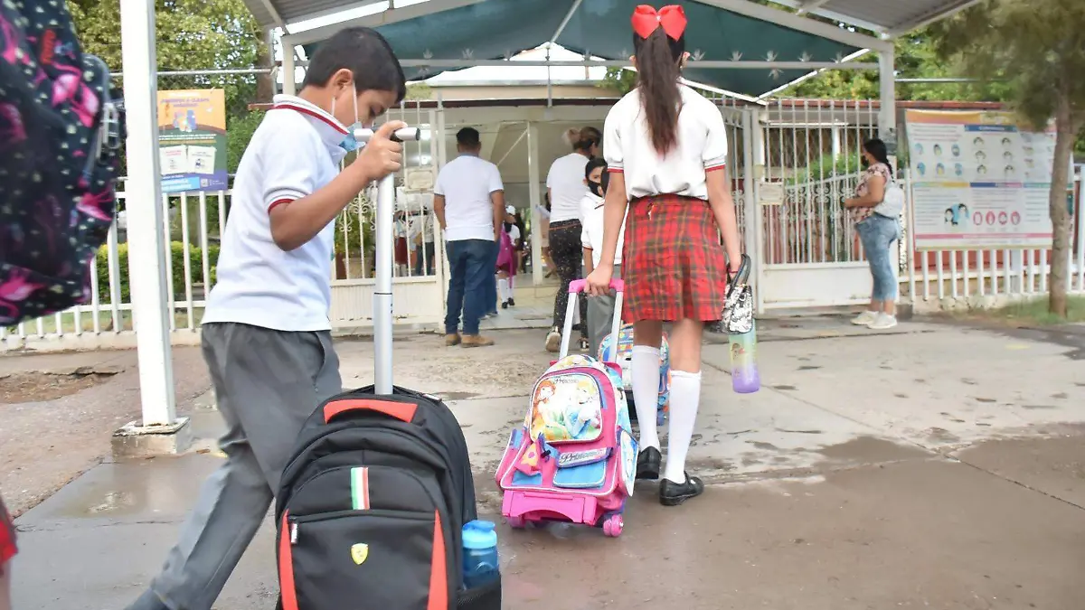 WhatsApp Image 2023-08-26 at 16.39.08