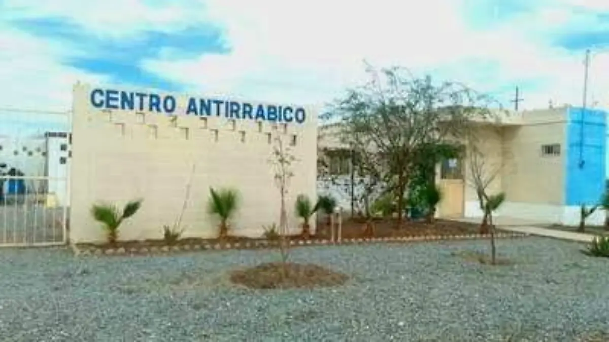 WhatsApp Image 2023-04-25 at 10.55.10