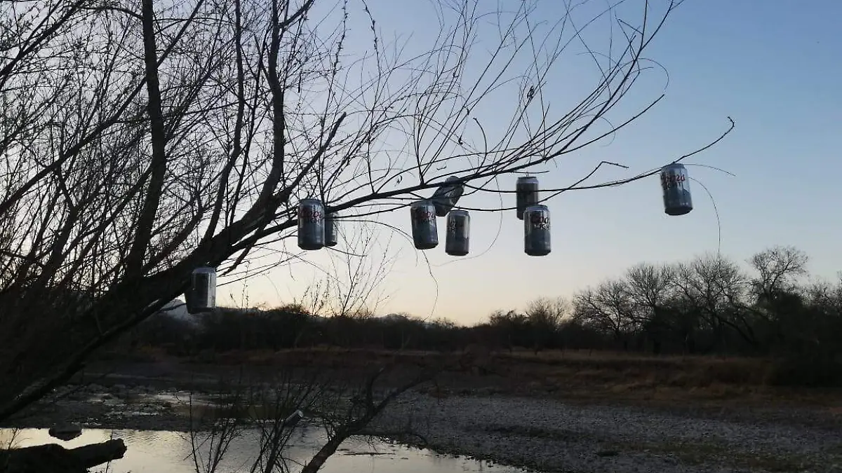 basura cañón de fernández