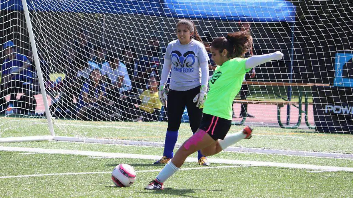 01 Borregos tomarán Torreón1