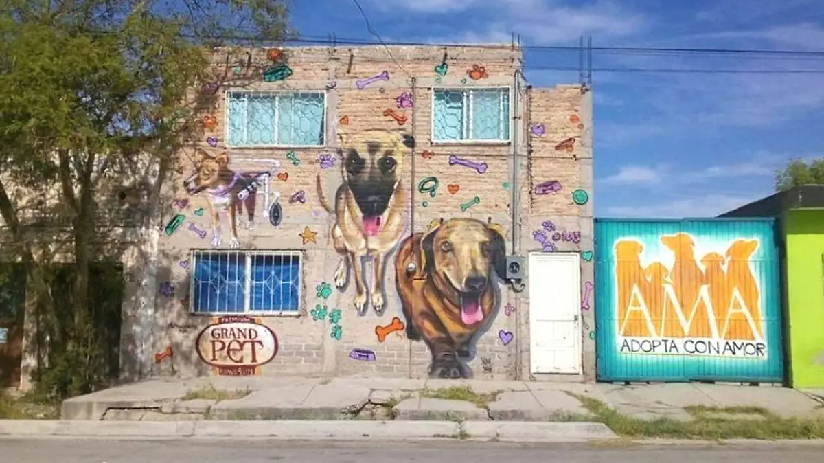 15 Esperan más de 200 corredores en la Canrrera 20191