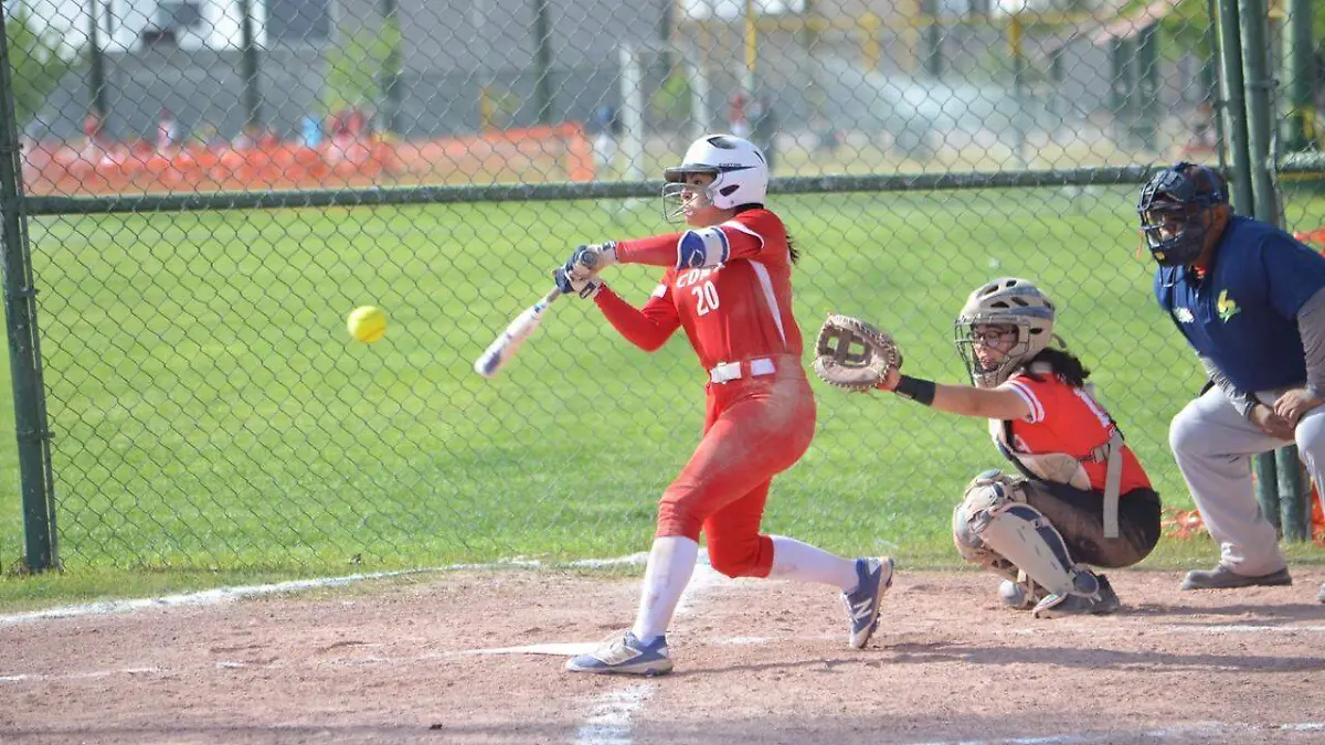 Softbol