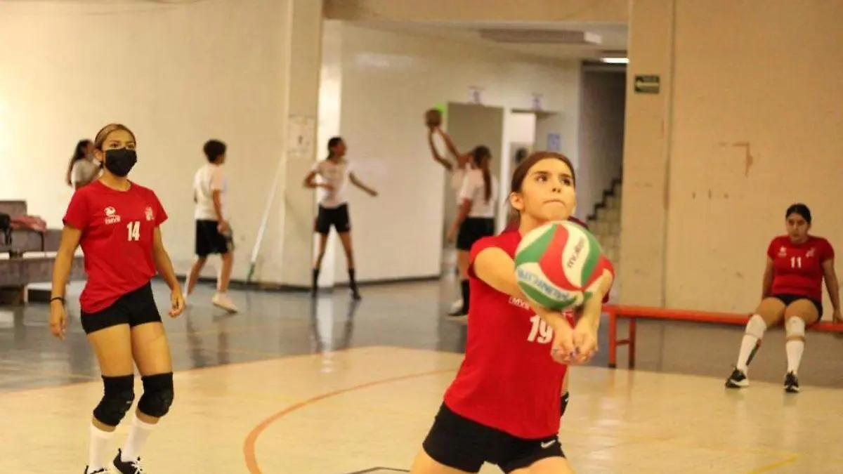 voleibol